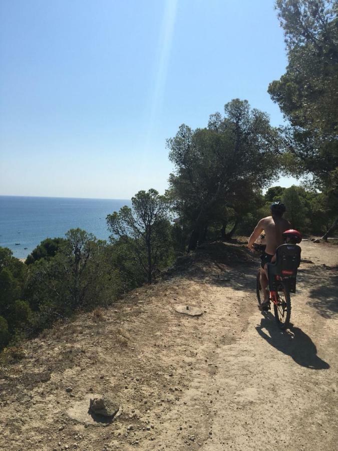 Leucate